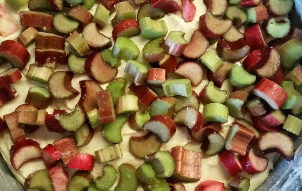 Saftiger Rhabarber-Joghurt-Kuchen Rezepte-SilkesWelt.de Rhabarber-Joghurt-Kuchen für Anfänger. Entdecke mein Rezept.
