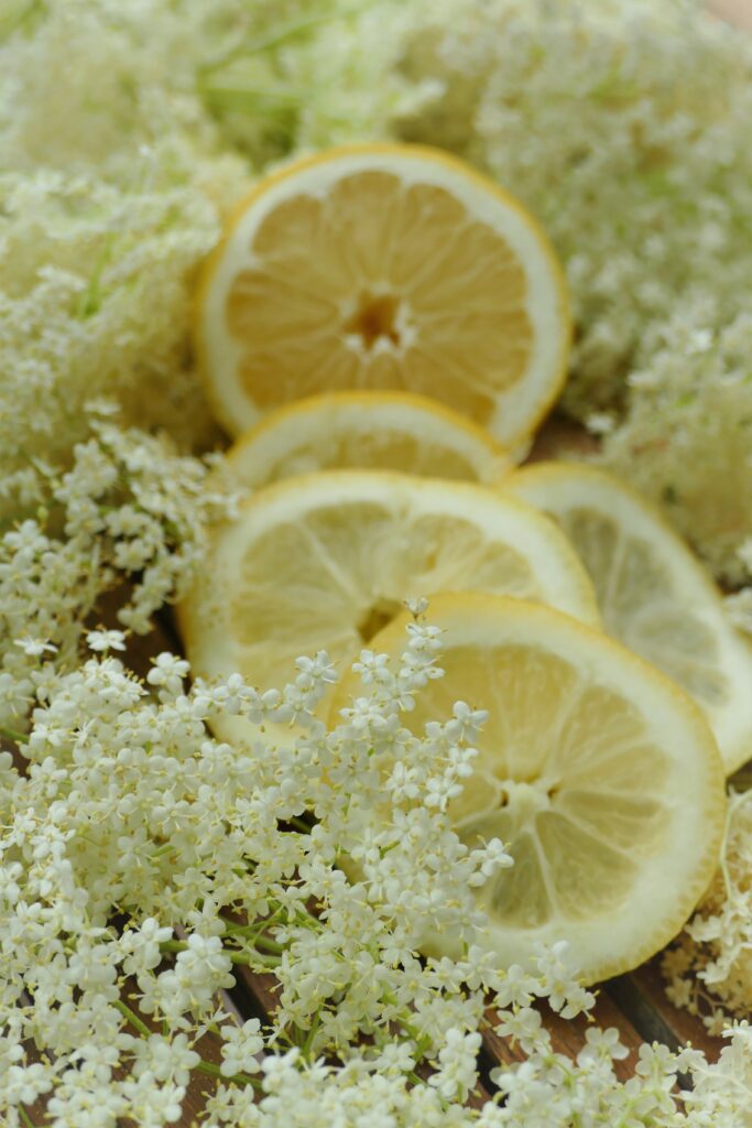 Zitronenmelisse-Sirup selbst machen |Rezepte-SilkesWelt.de