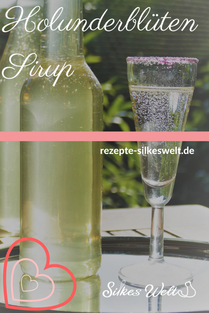 Holunderblüten Sirup selbst herstellen Rezepte-SilkesWelt.de