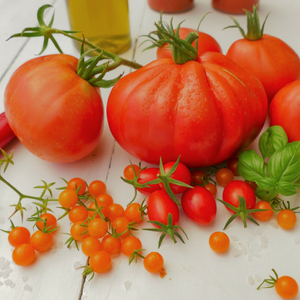 Tomatensauce Rezepte-SilkesWelt.de leckere Tomaten