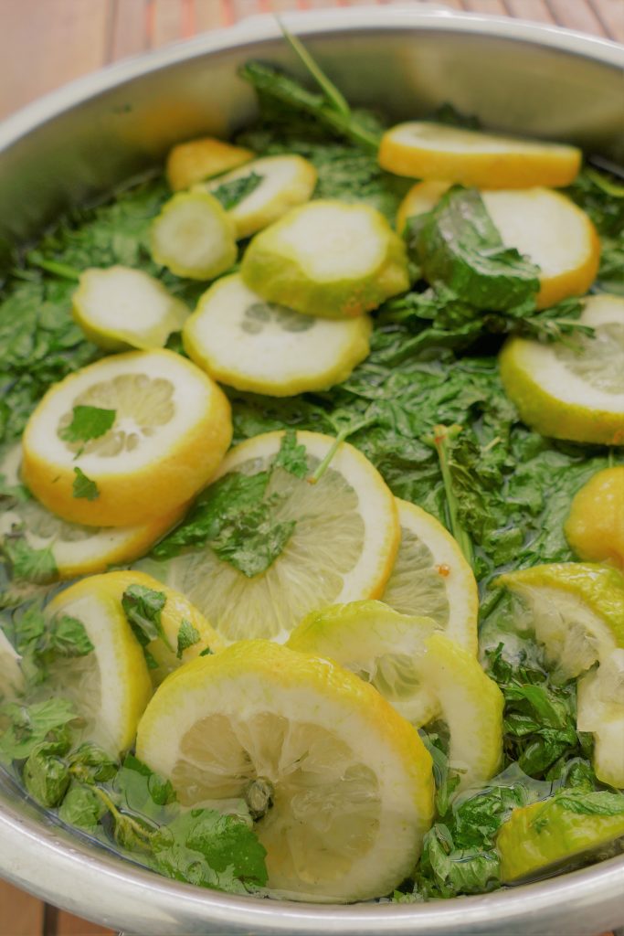 Zitronenmelisse-Sirup selbst machen Rezepte-SilkesWelt.de Zitronenmelisse-Sirup selbst machen