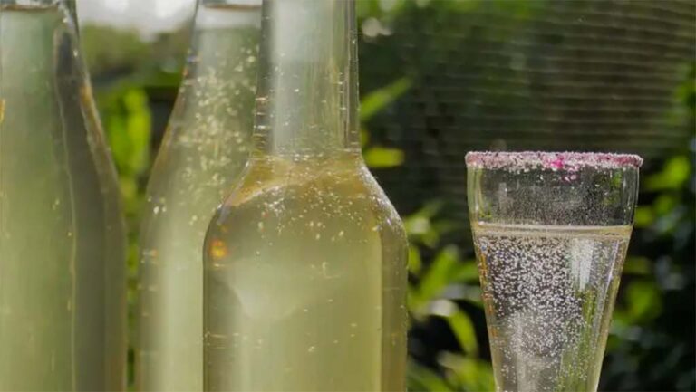 Zitronenmelisse-Sirup Rezept zum selber herstellen