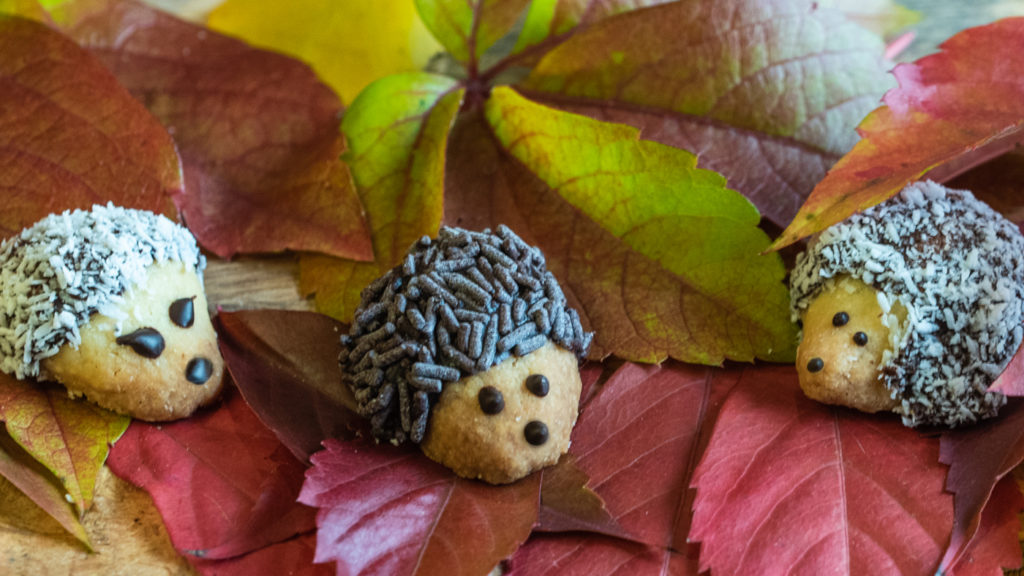 vegane Igelkekse