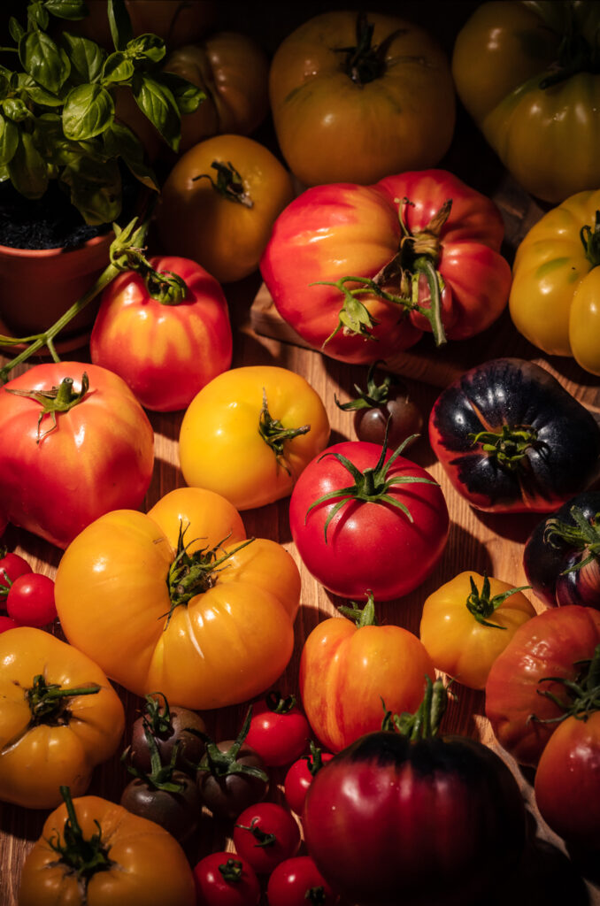 Tomaten Ernte 2022, gesunde Salate