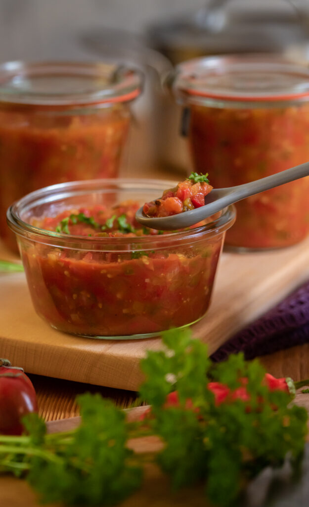 Tomaten-Paprika Salsa Dip
