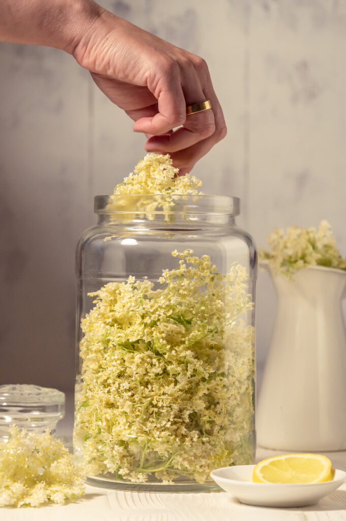 Rezept für Holunderblütensirup Rezept