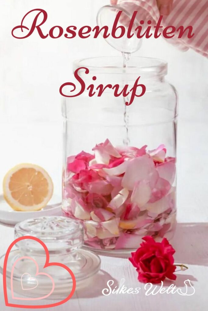 Sirup aus Rosenblüten Rezept