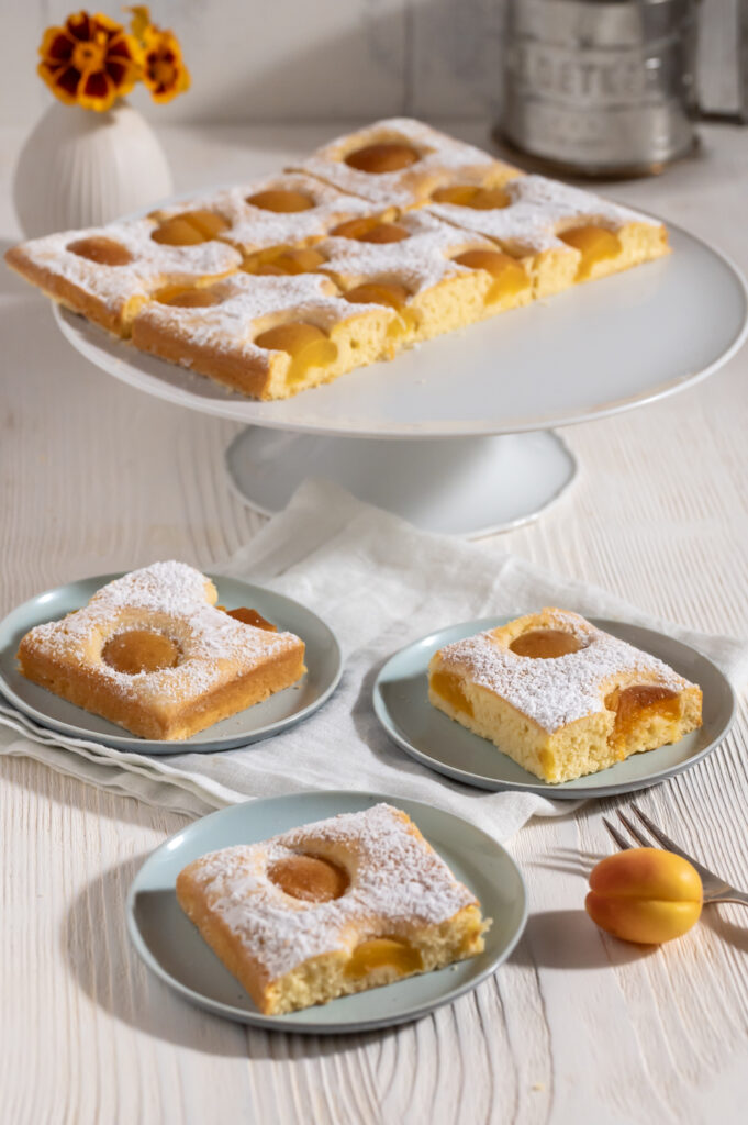 Einfacher Aprikosenkuchen Rezepte-SilkesWelt.de