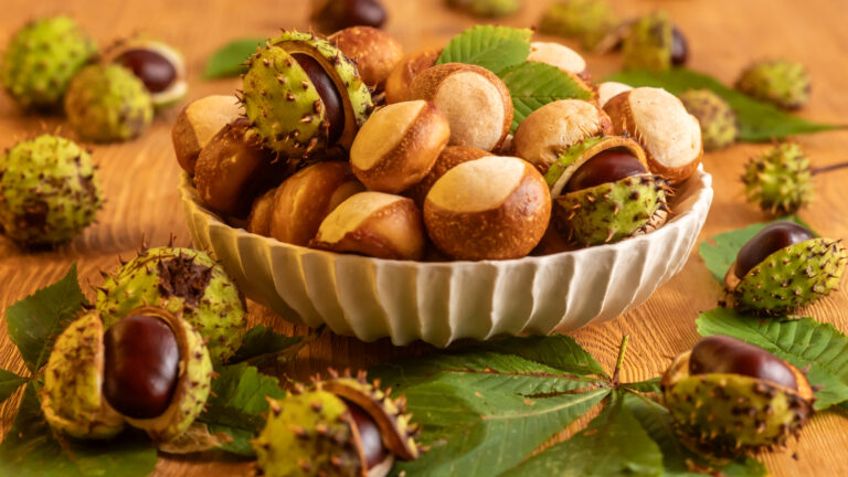 Laugenkastanien Rezept