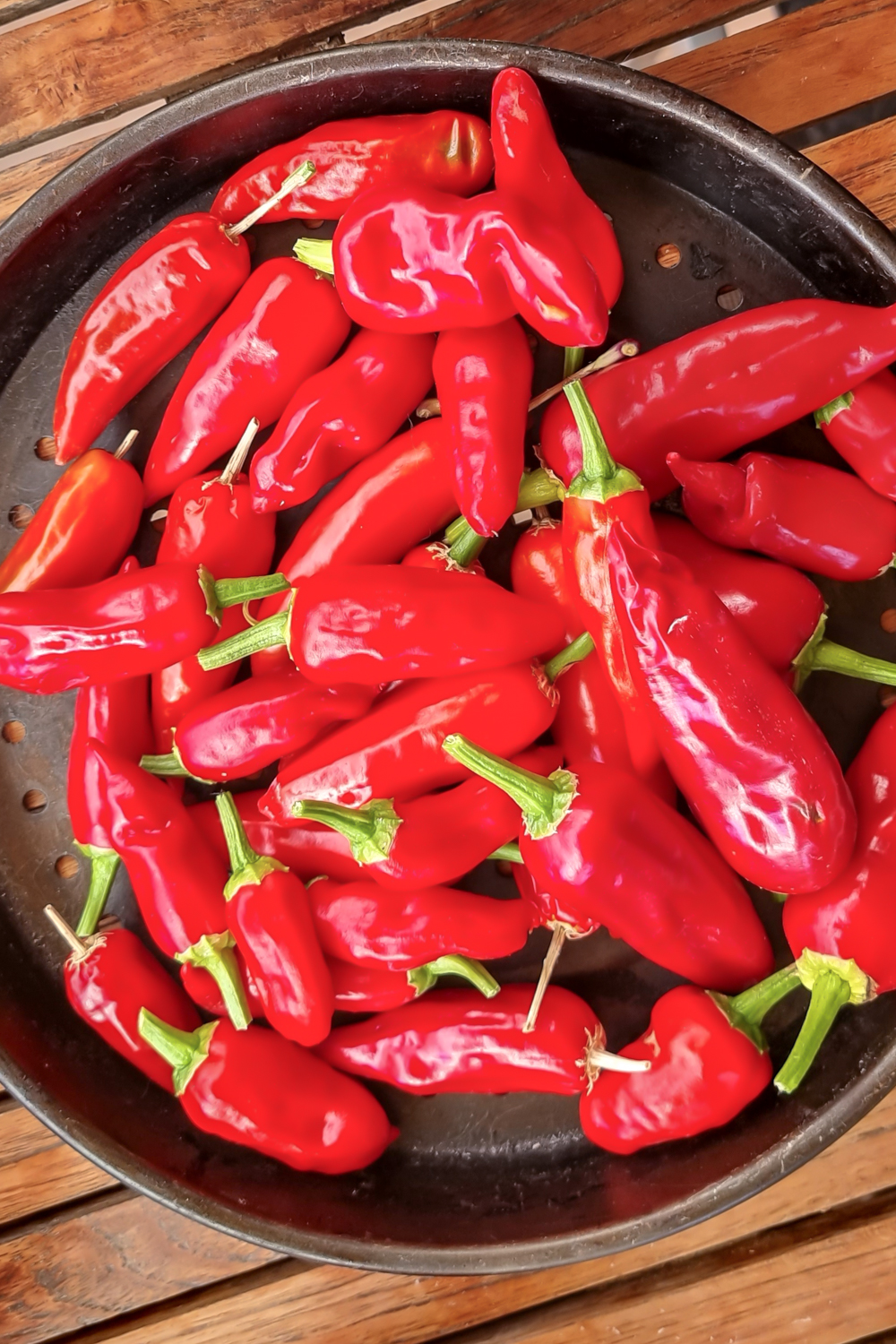 Rauchiges Chilipulver selber machen