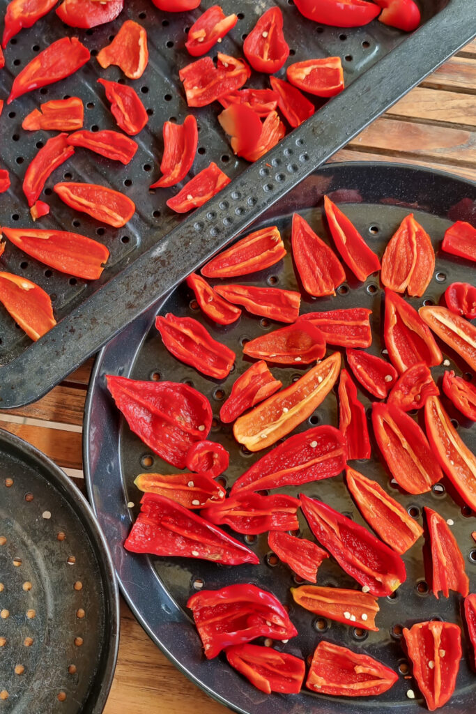 Chili entkernt für die Herstellung von rauchiges Chilipulver