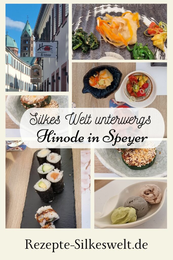 Bestes Japanisches Restaurant in Speyer, Hinode