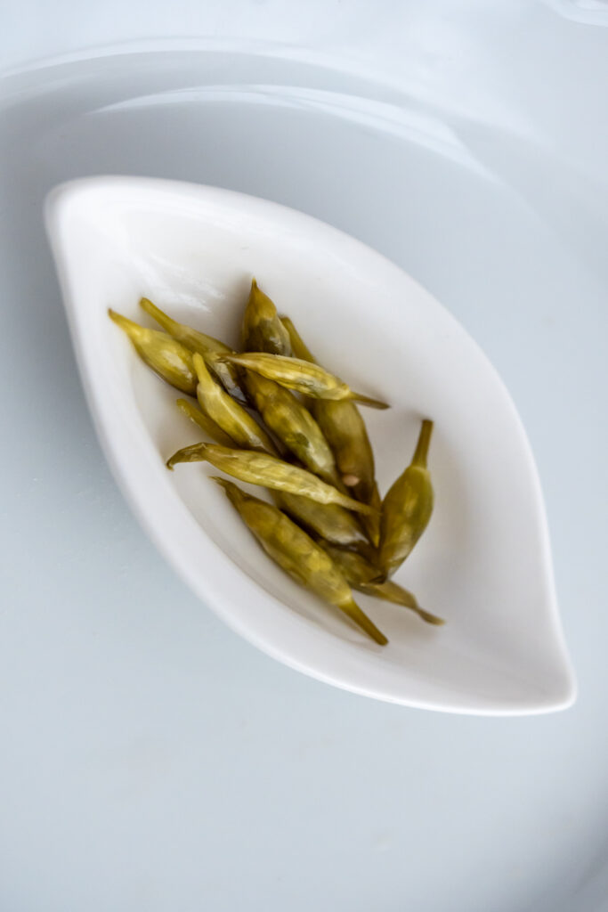 Bärlauchblüten einlegen Rezepte-SilkesWelt.de