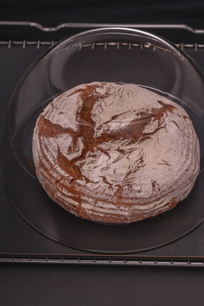 Brotbackstahl mit Glaskuppel. Backen ohne schwaden.