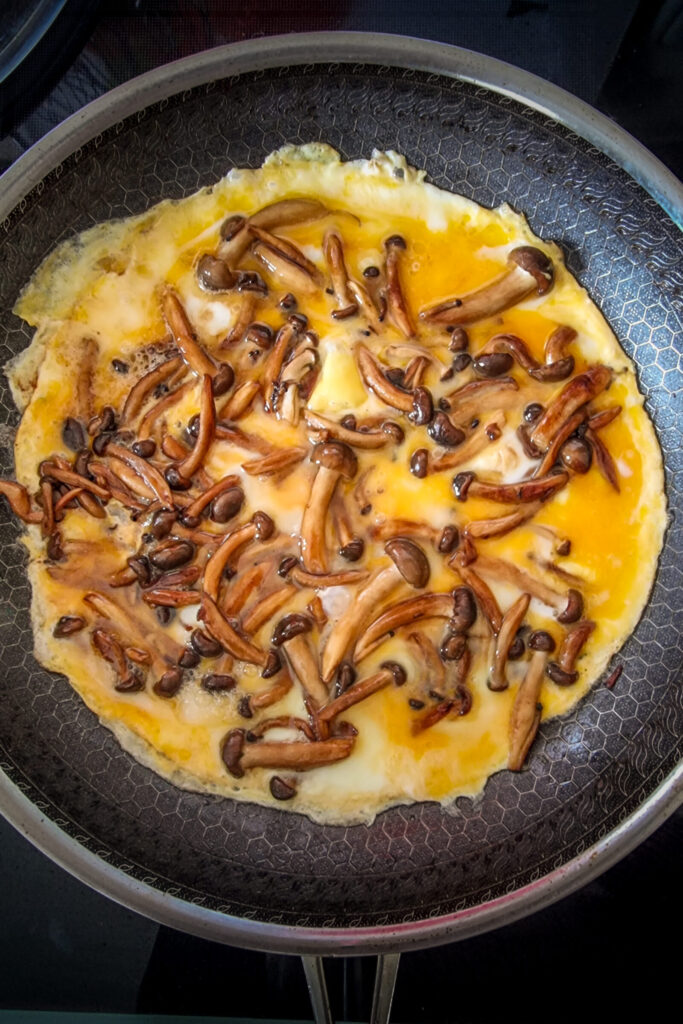 Rezepte mit Pilzen Rezepte-SilkesWelt.de Rezepte mit Pilzen Rezepte-SilkesWelt.de