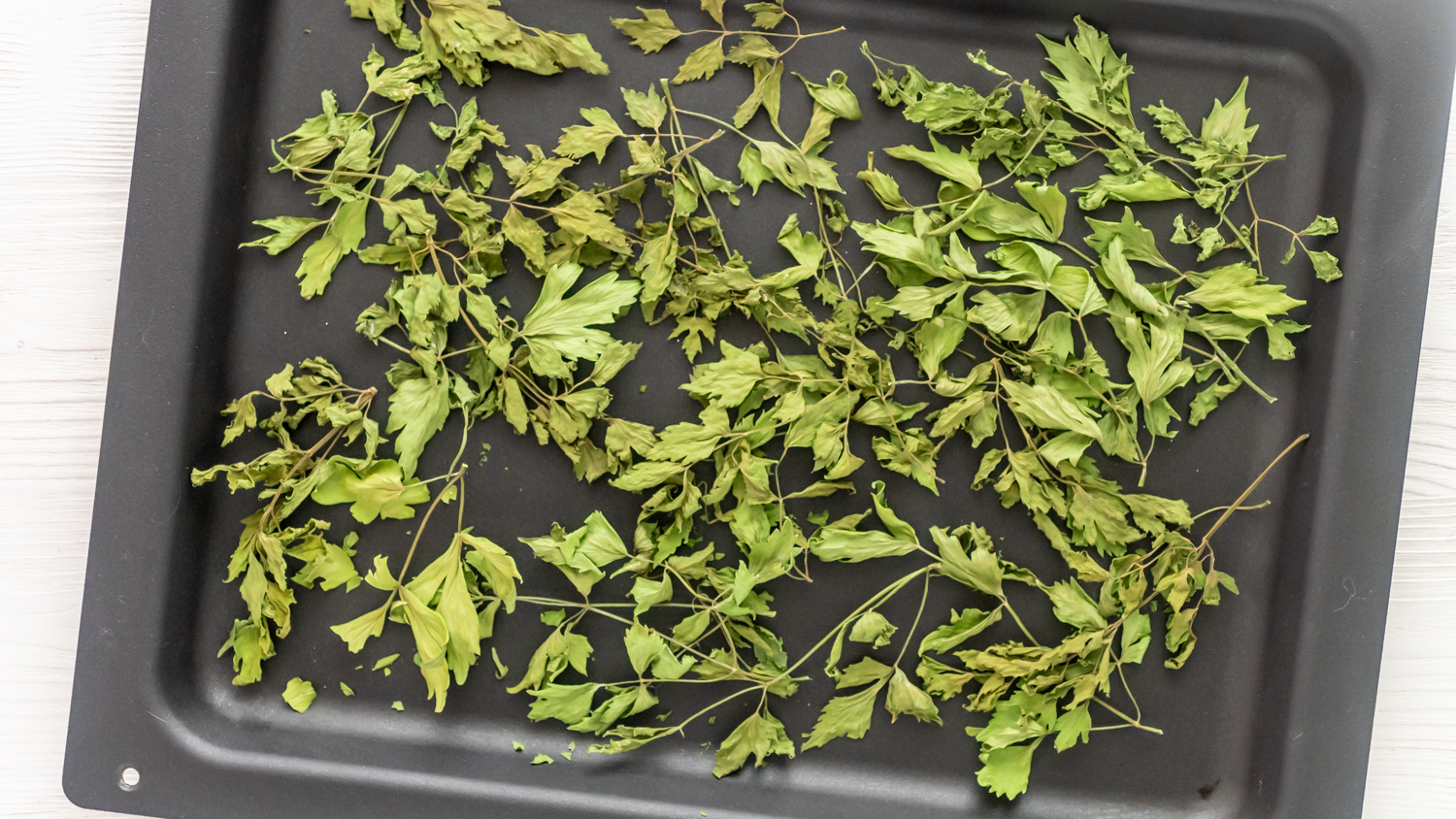 Liebstöckel trocknen und einsetzen Rezepte-SilkesWelt.de Rezept Liebstöckel trocknen