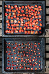 Köstliche getrocknete Tomaten in Öl Rezept Rezepte-SilkesWelt.de