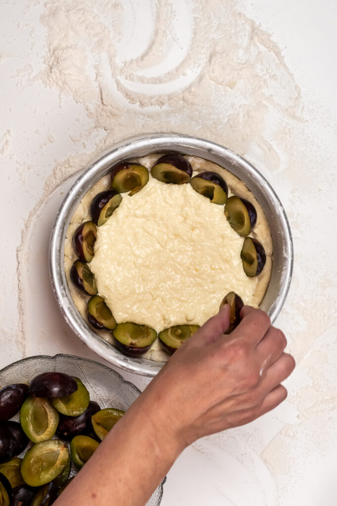 Einfacher Zwetschgenkuchen mit Quark-Öl-Teig Rezepte-SilkesWelt.de