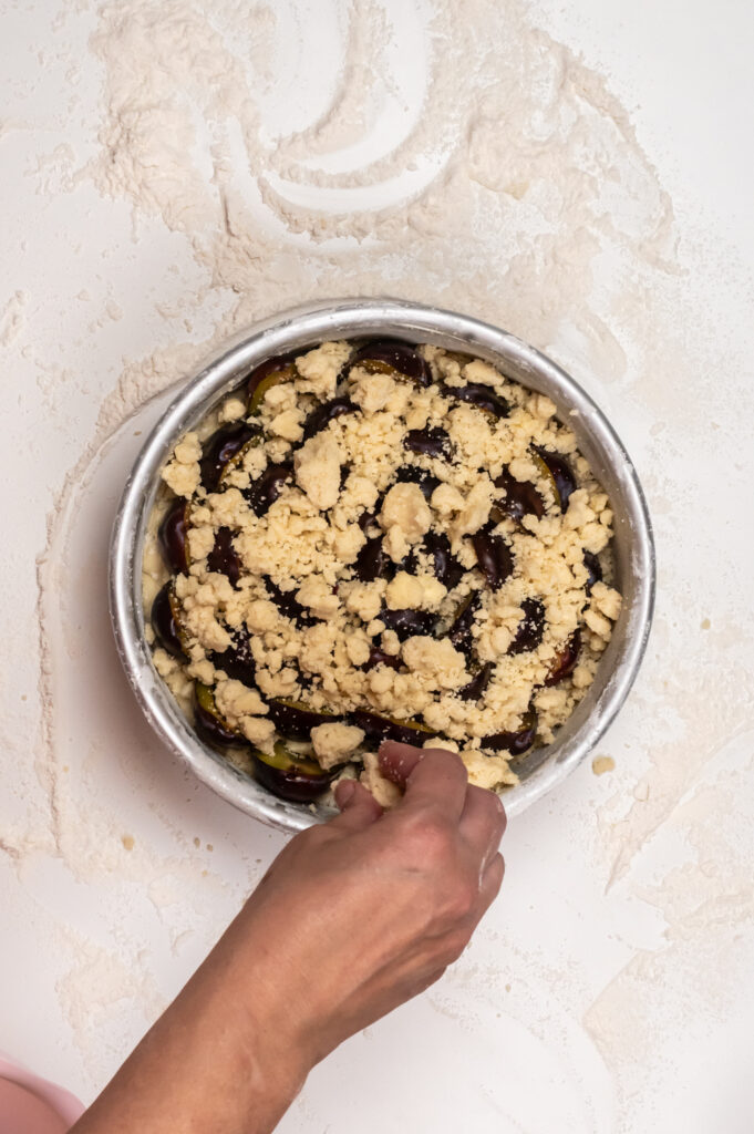 Einfacher Zwetschgenkuchen mit Quark-Öl-Teig Rezepte-SilkesWelt.de